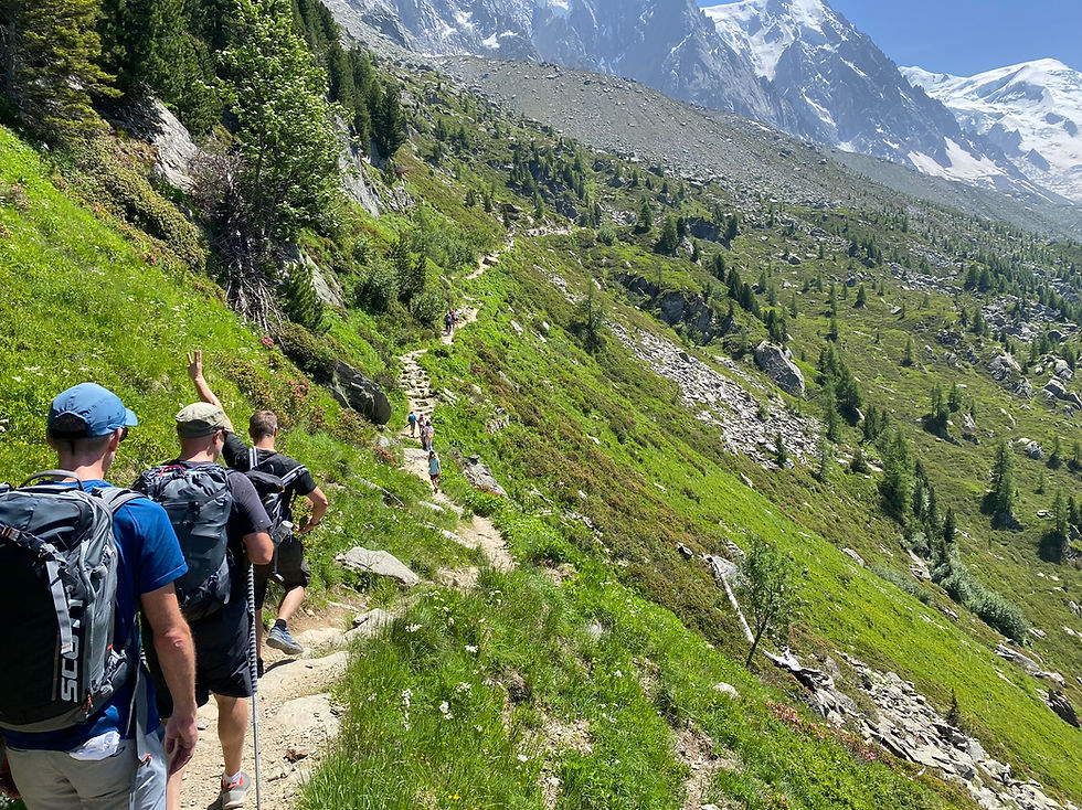 The trail to Plan de l'Aiguille