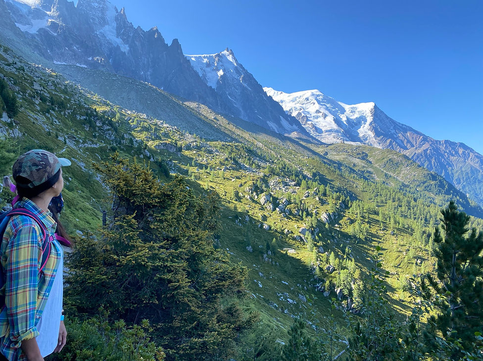 Amazing view towards Mont Blanc