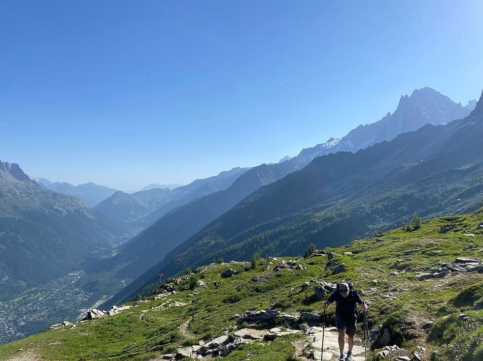Trail toward the Refuge de Plan de l'Aiguille