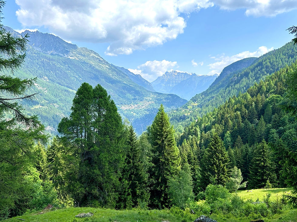 Finhaut from across the valley at Les Esserts