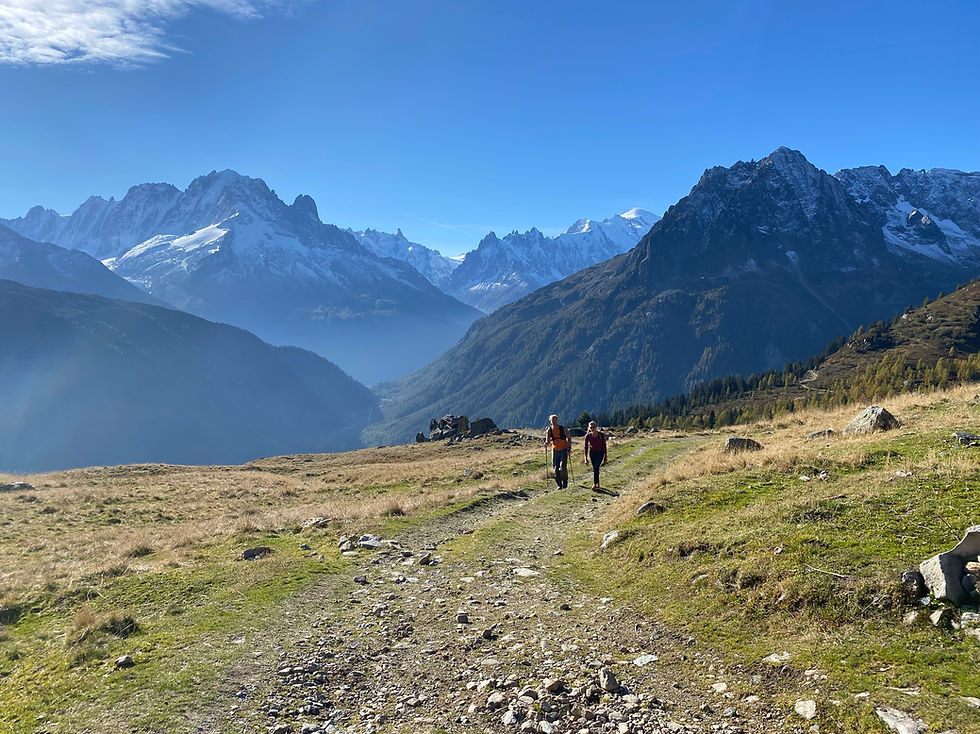 Trail up to Refuge de Loriaz