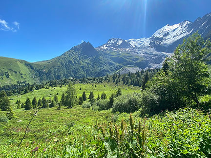 View towards the Glacier de Bionnassay