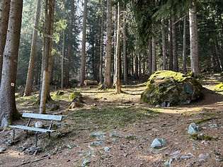Piere a Ruskin from the trail
