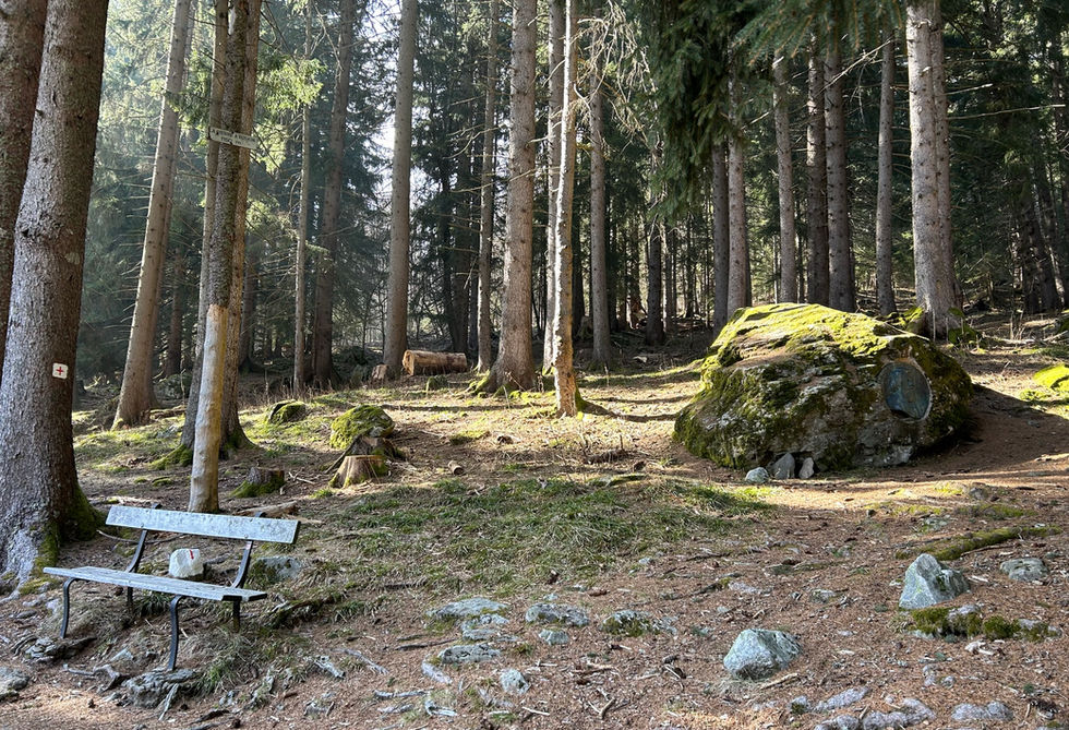 Piere a Ruskin from the trail
