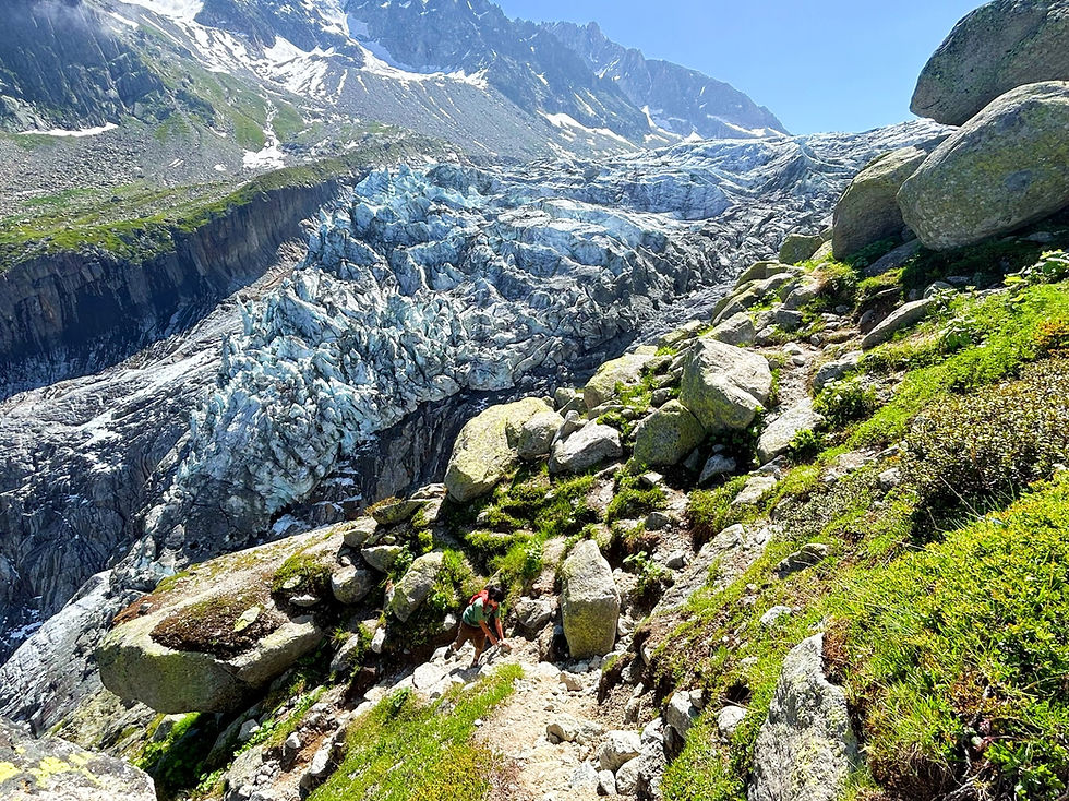 Argentiere Glacier