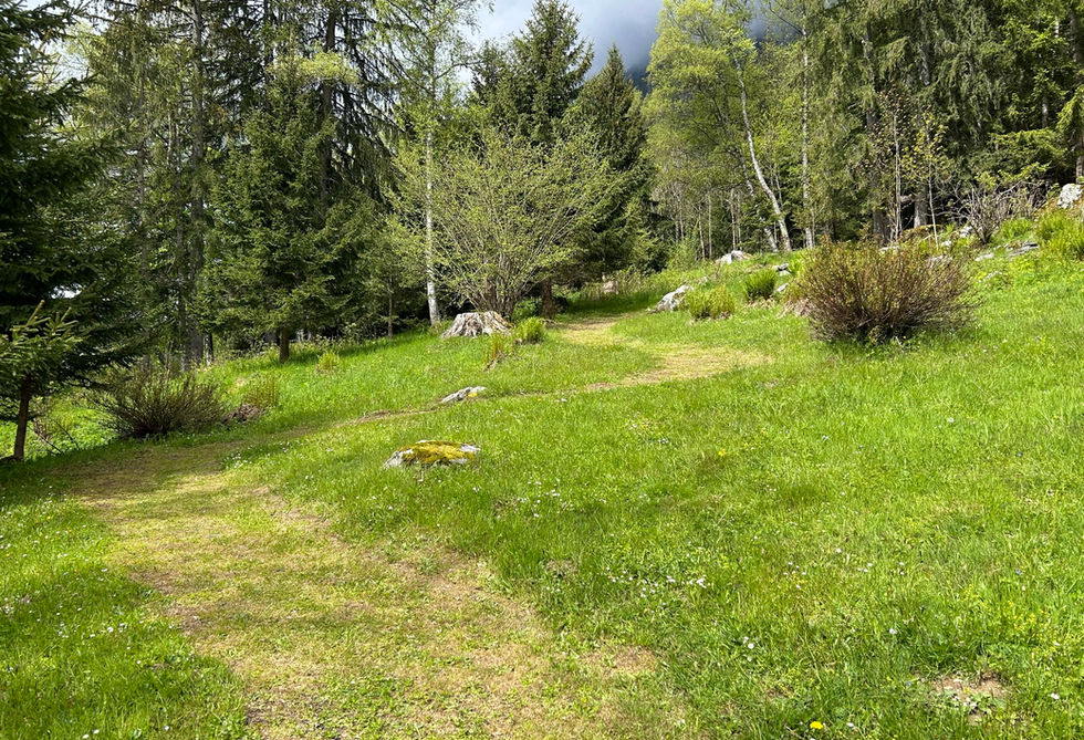 Path up to the Genevieve Bouvier Memorial
