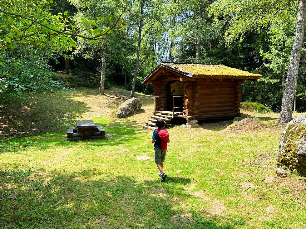 Picnic area near Tete Noir Parking