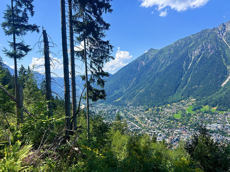 Trail up to Alpage de Blatiere