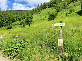 Trail Marker at Le Tour Parking