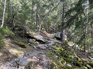 Trail to les Sources de l'Arveyron