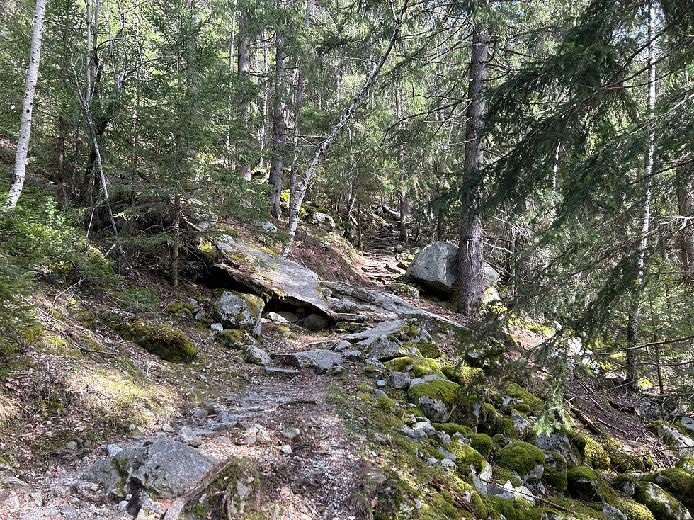 Trail to les Sources de l'Arveyron