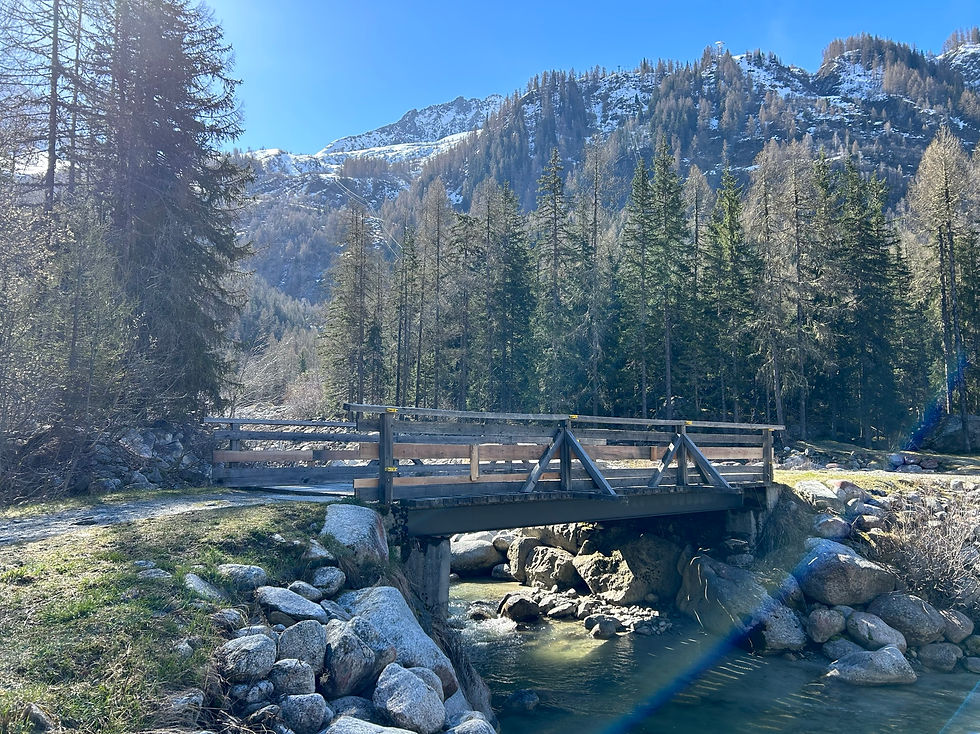 Bridge over the Torrent de Lognan