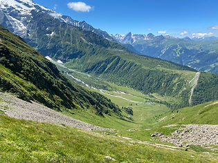 View from Col de Tricot towards Miage