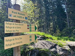 Trail Marker at the Pont Romain