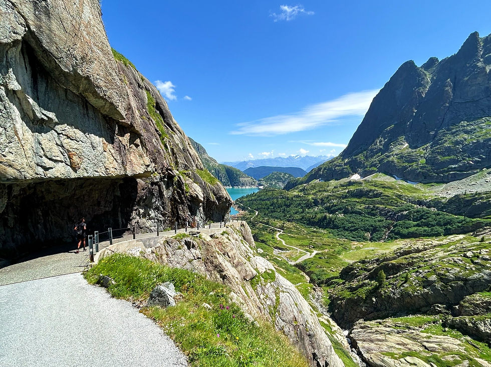 Road down from Vieux Emosson