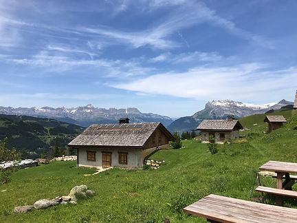 Chalets du Truc