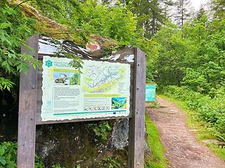 Information Sign near Le Buet parking