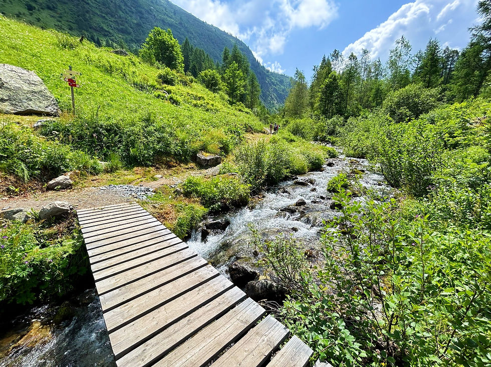 Bridge near Le Buet
