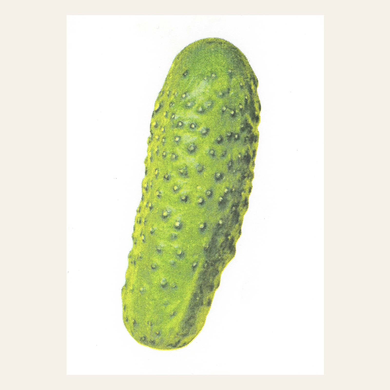 Essiggurke Postkarte