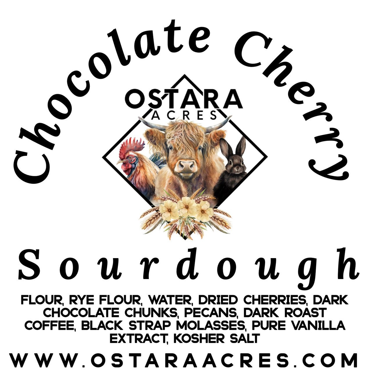 Chocolate Cherry Sourdough