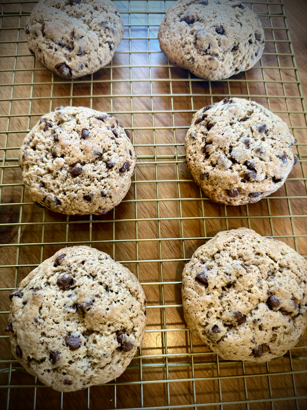 Chocolate Chip - Sourdough Cookies