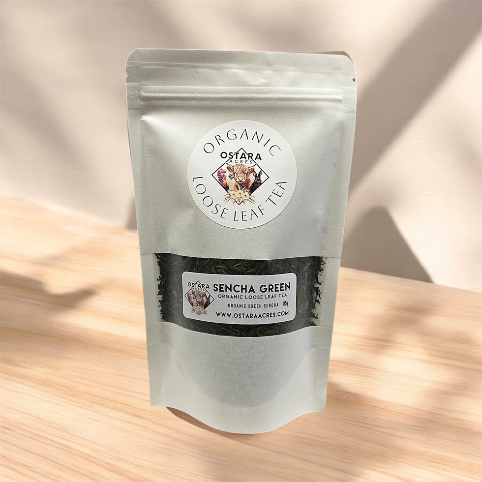 Thumbnail: Sencha Green Tea - Organic