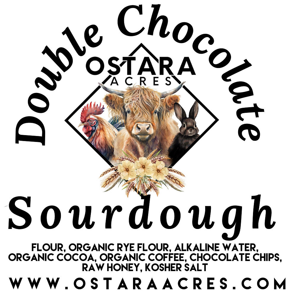 Double Chocolate Sourdough