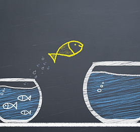 Outplacement Services | Transition | Coa