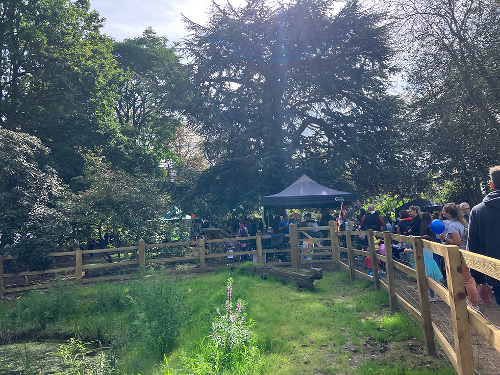 Surbiton Festival 2022 _ Claremont Gardens