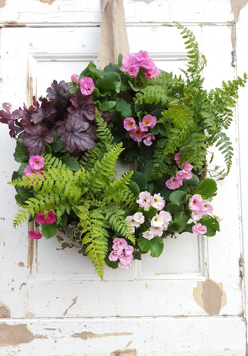 'Pretty in Pink' Living Wreath