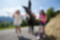 2013_07_19_092.jpg