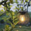 Thumbnail: Solar Hanging Lantern, Durable Metal Hanging Light