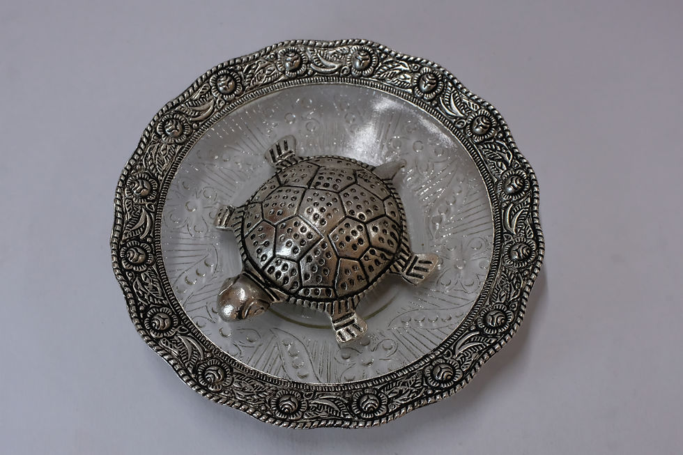 Thumbnail: Tortoise Plate Silver