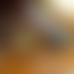 Essential Beekeeping Tips for Beginners