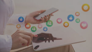 Social Media Management