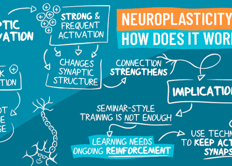 Can Neurofeedback Increase Neuroplasticity? Exploring How Brain Training May Shape the Developing Brain