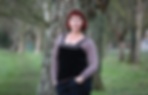 2019-02-20 (2).png