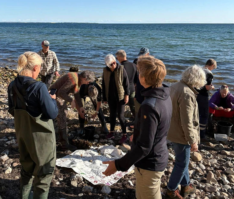 tangsafari knold11_edited.jpg