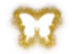 glitter butterfly.jpg