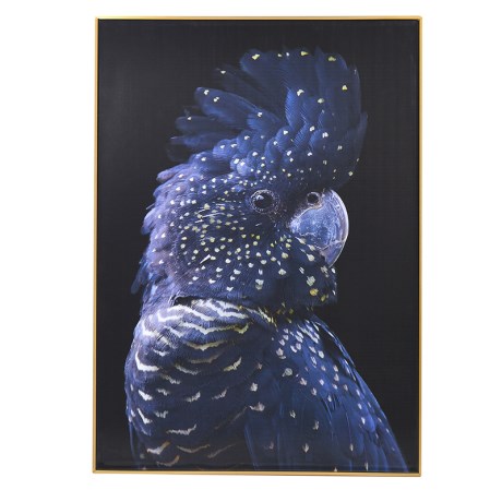 Large RHF Parrot Picture