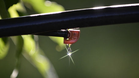 A complex drip irrigation project was launched in the Turkan settlement