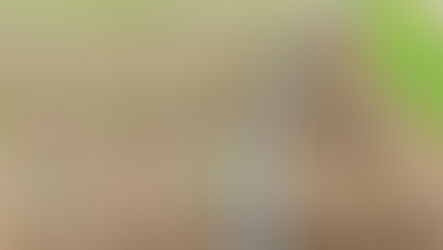 Drip irrigation project in Samukh district...