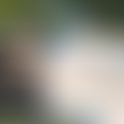 Valley dillerlərinin Gürcüstan görüşü