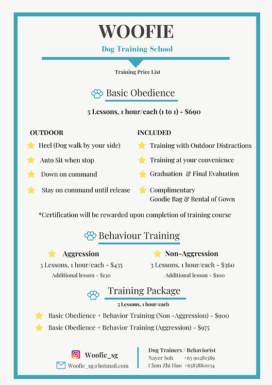 Much Does Dog Obedience Training Cost Basic Obedience Dog