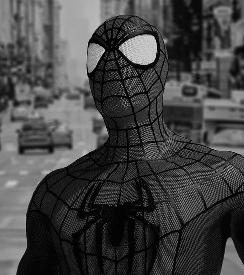 spidey_render_max-Re_edited.jpg
