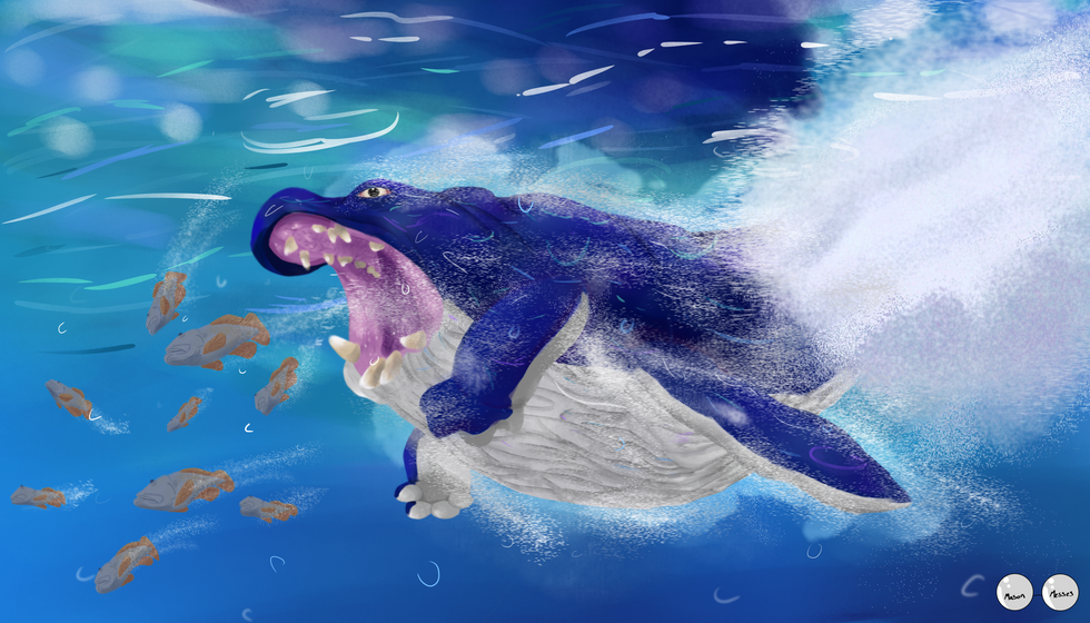 S.I. 10 Whale hippo_20240521082838
