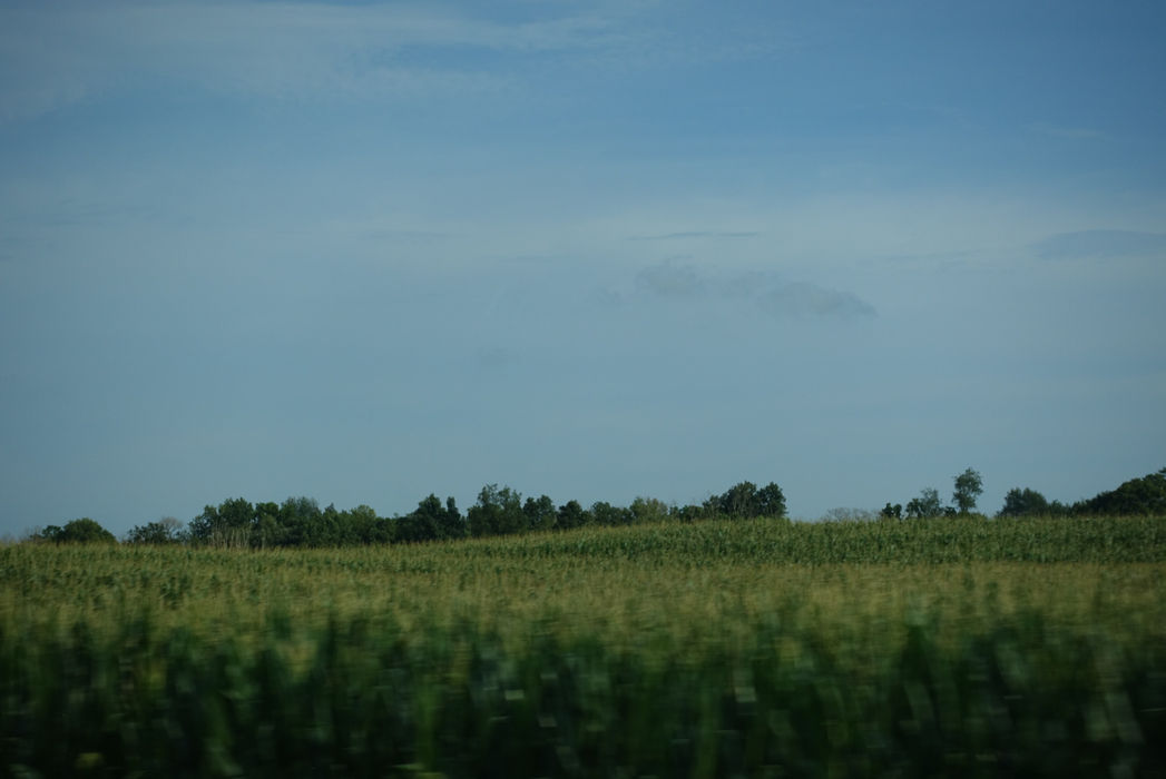 Vast green field with distant trees and blue sky