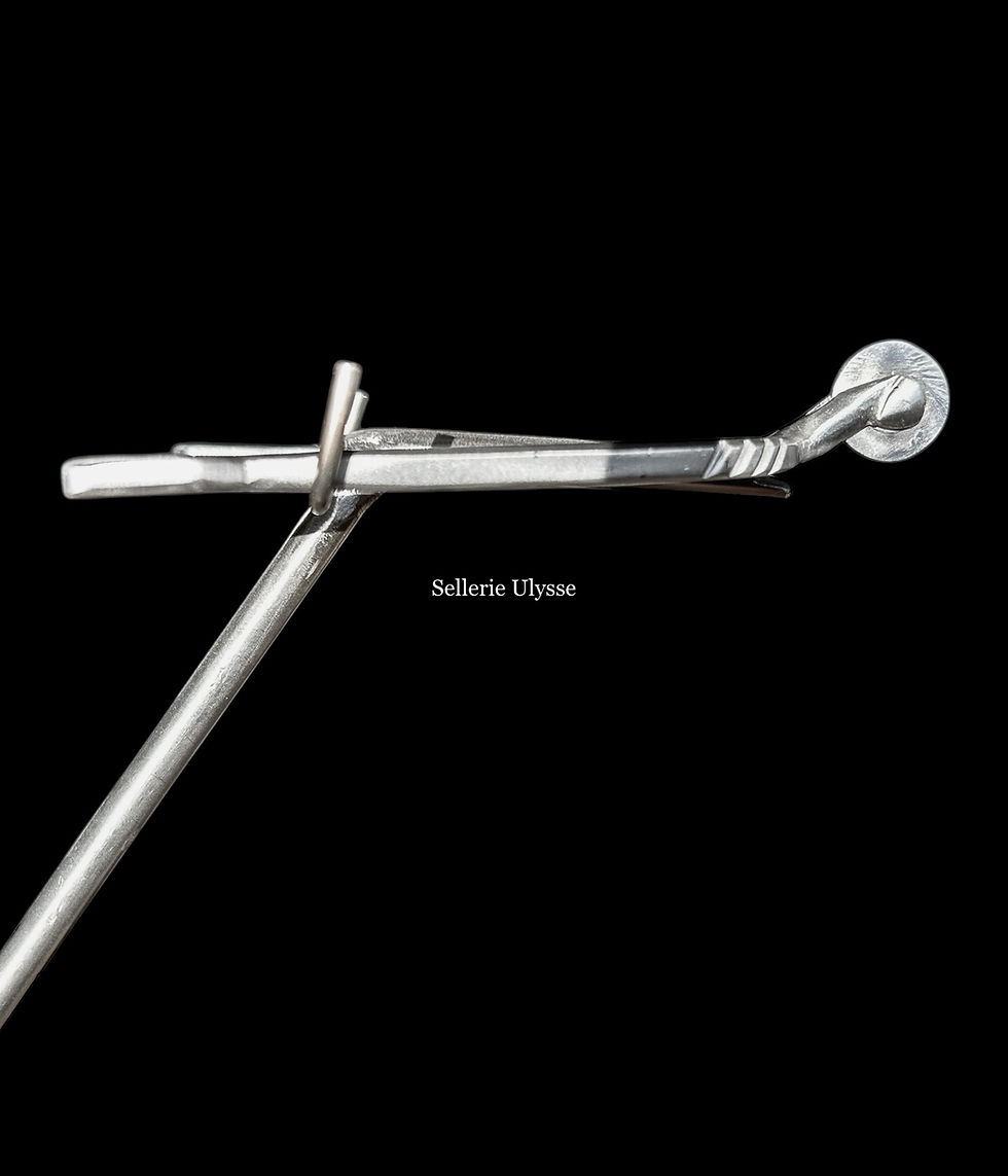 Miniature : Eperons Courts Inox Molettes Rondes Passes Plates