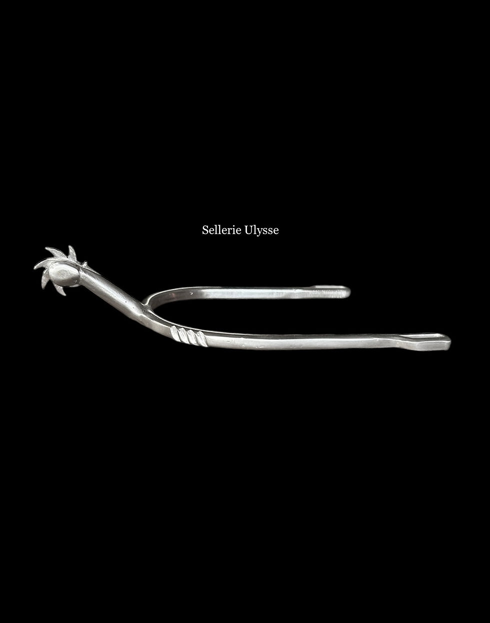 Eperons Longs Inox 7 Dents Incurvées Passes Plates