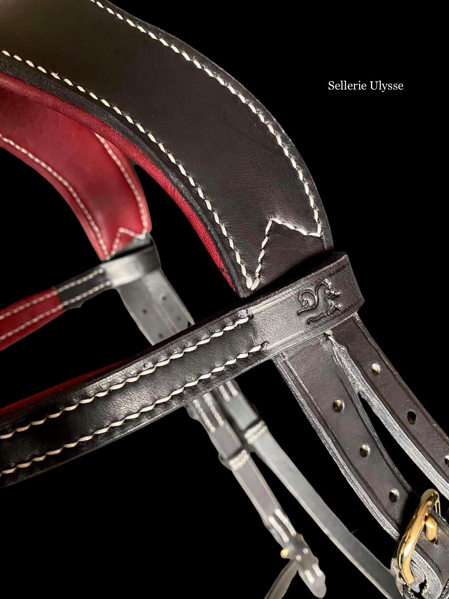 Bride Harmonieuse Noire & Bordeaux